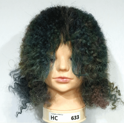 全国大会 フォトコンテスト部門